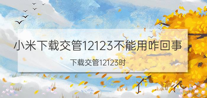 小米下载交管12123不能用咋回事 下载交管12123时，小米10不允许怎么回事？